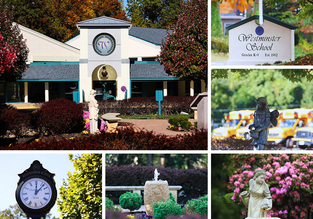 School-Collage Collage of school campus outdoor beauty shots